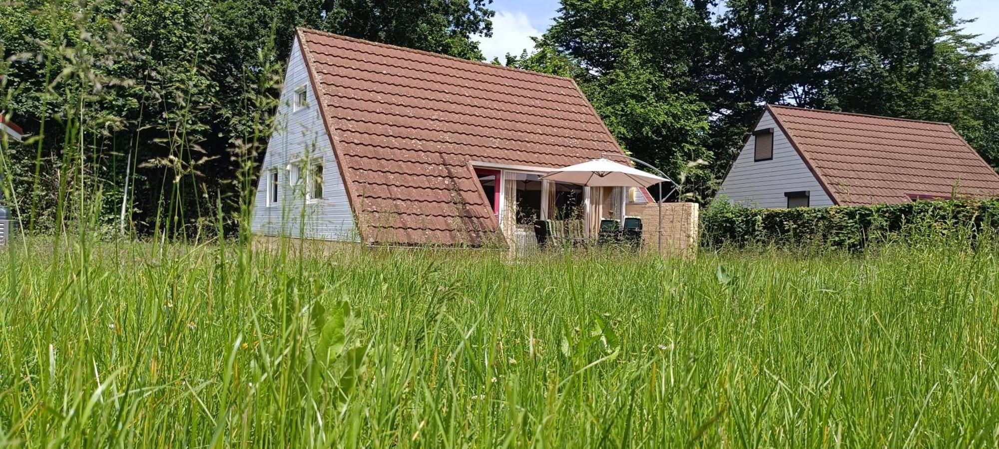 6-Pers Vakantiebungalow In Het Heuvelland Simpelveld Kültér fotó